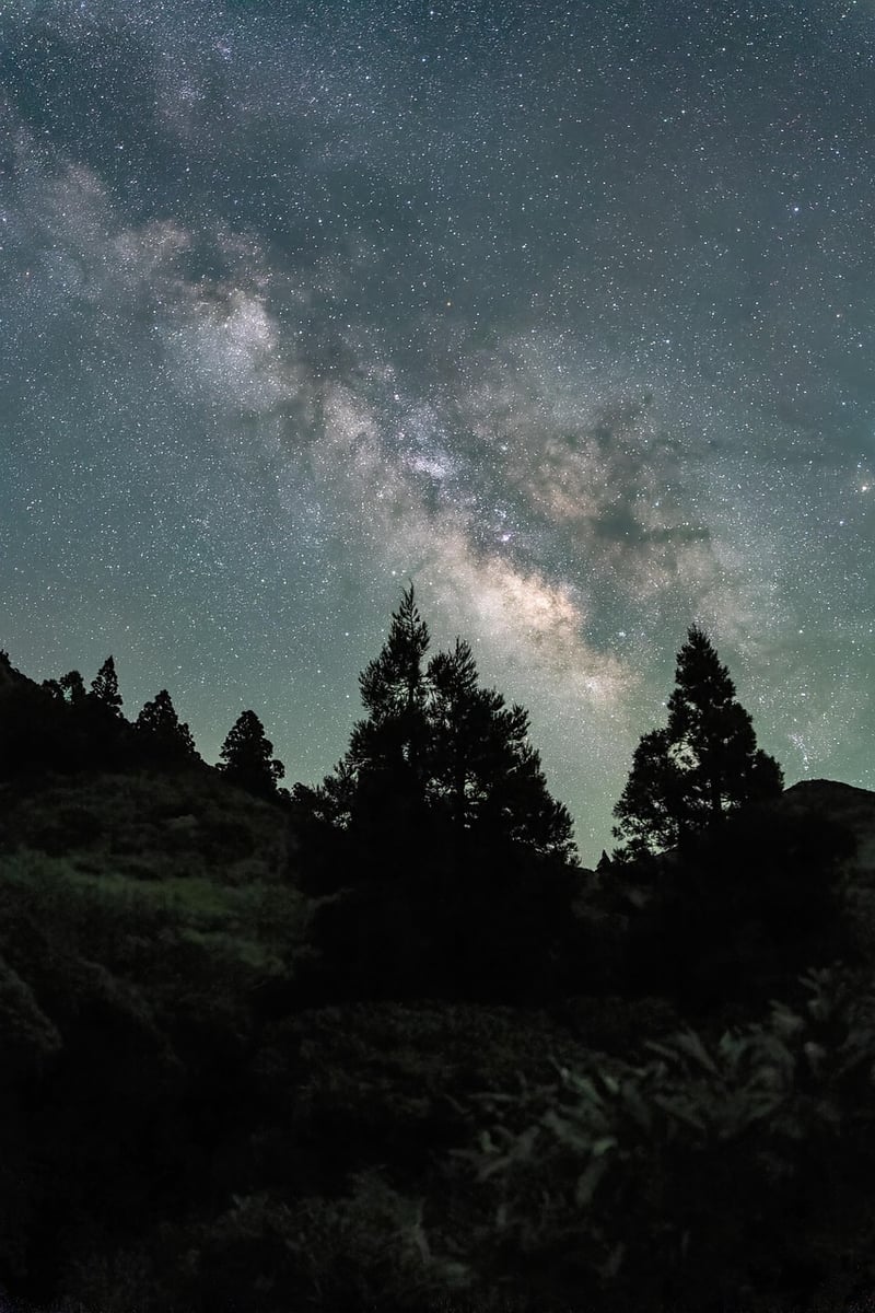 Quantum Realm